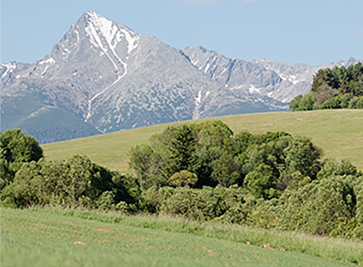ako-sa-rodi-syr1_1245x915px.jpg