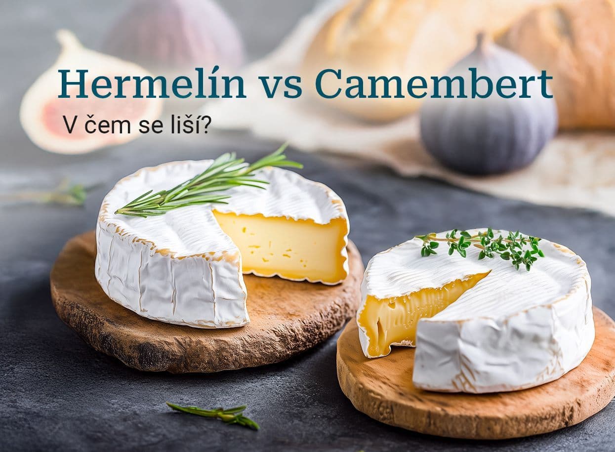 banner_hermelin-vs-camembert_1245x915.jpg